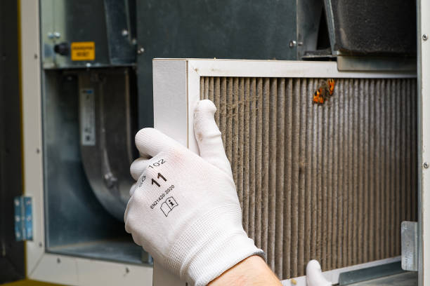 Best Air Duct Cleaning Near Me  in Cape Neddick, ME